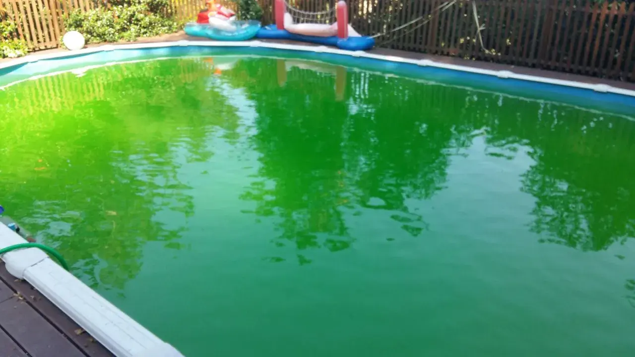 Piscina verde brillante, forse per troppo cloro. Riflessi di alberi e giochi gonfiabili.
