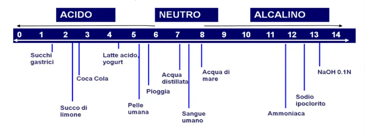 Scala pH: succhi gastrici, Coca Cola, latte acido, limone sono acidi. Acqua distillata e sangue umano sono neutri. Ammoniaca e NaOH sono alcalini.