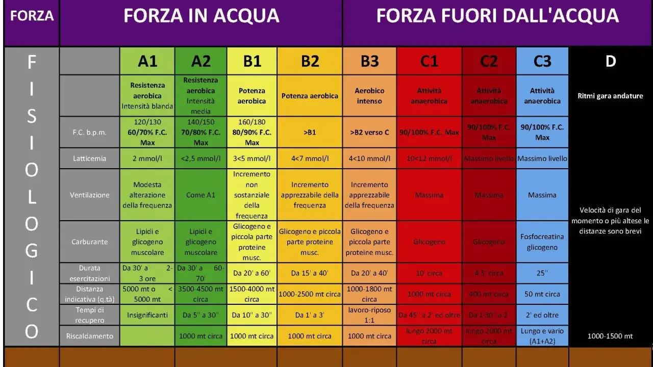 Schema mentale per le gare di nuoto: forza, resistenza e velocità in acqua e fuori.