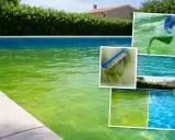 Piscina verde e torbida, con spazzola che pulisce le alghe e prodotto chimico versato. Troppo antialghe in piscina, ma il risultato finale è un'acqua cristallina.