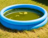 Piscina gonfiabile blu su prato con acqua verde e alghe. È ora di chiedersi ogni quanto cambiare acqua piscina gonfiabile per evitare questo.