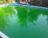 Piscina verde brillante, forse per troppo cloro. Riflessi di alberi e giochi gonfiabili.