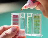 Controllo del pH della piscina: una goccia di reagente cade nel tester per misurare i livelli.