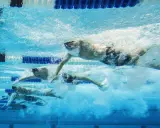 Nuotatori in azione, un allenamento nuoto principianti che mostra la determinazione e la tecnica sotto il pelo dell'acqua.