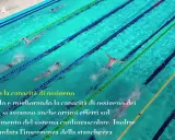 Nuotatori in piscina, allenamento che migliora la capacità polmonare e cardiovascolare, ritardando la stanchezza e contrastando la cellulite.