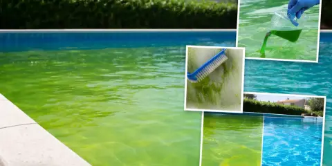 Piscina verde e torbida, con spazzola che pulisce le alghe e prodotto chimico versato. Troppo antialghe in piscina, ma il risultato finale è un'acqua cristallina.