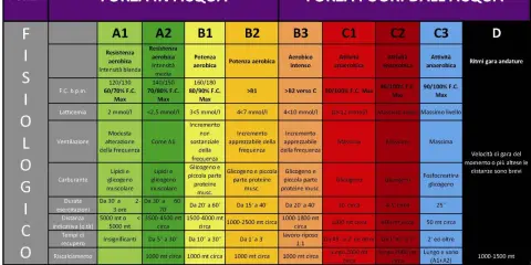 Schema mentale per l'allenamento nel nuoto agonistico: forza, resistenza e potenza in acqua e fuori. Dettagli su latticemia, ventilazione, carburante, durata, distanza, recupero e riscaldamento per ogni disciplina.