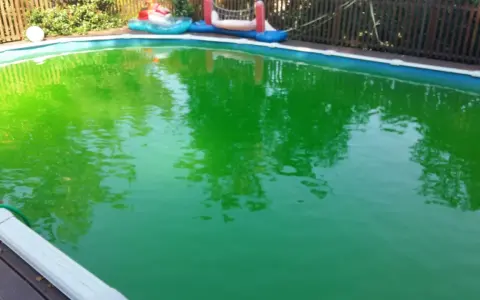 Piscina verde brillante, forse per troppo cloro. Riflessi di alberi e giochi gonfiabili.