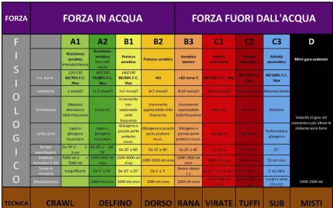 Schema mentale per le gare di nuoto: forza, resistenza e velocità in acqua e fuori.