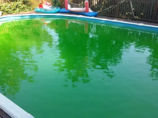 Piscina verde brillante, forse per troppo cloro. Riflessi di alberi e giochi gonfiabili.