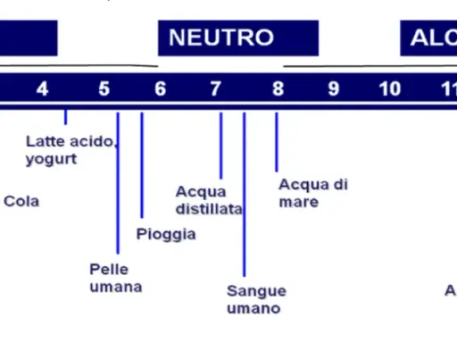 Scala pH: succhi gastrici, Coca Cola, latte acido, limone sono acidi. Acqua distillata e sangue umano sono neutri. Ammoniaca e NaOH sono alcalini.