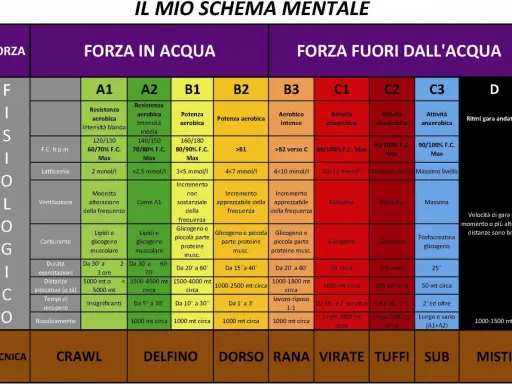 Schema mentale per l'allenamento nel nuoto agonistico: forza, resistenza e potenza in acqua e fuori. Dettagli su latticemia, ventilazione, carburante, durata, distanza, recupero e riscaldamento per ogni disciplina.