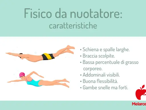 Fisico da nuotatore: schiena e spalle larghe, braccia scolpite, addominali visibili e gambe snelle ma forti. Un corpo tonico dopo un anno di nuoto.