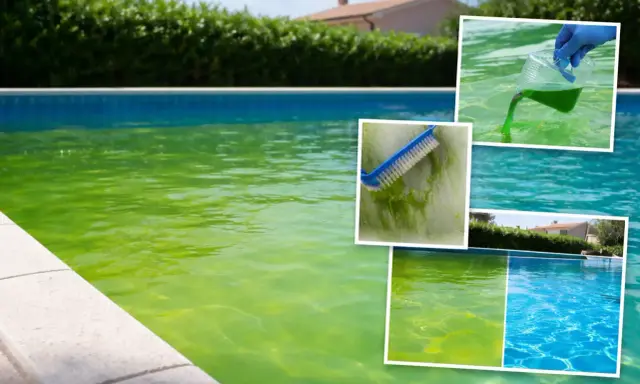 Piscina verde e torbida, con spazzola che pulisce le alghe e prodotto chimico versato. Troppo antialghe in piscina, ma il risultato finale è un'acqua cristallina.