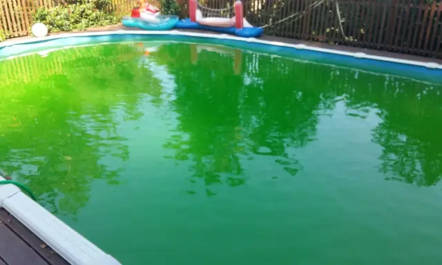 Piscina verde brillante, forse per troppo cloro. Riflessi di alberi e giochi gonfiabili.