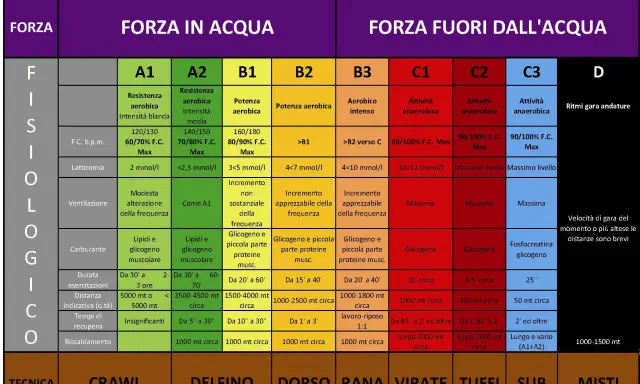 Schema mentale per le gare di nuoto: forza, resistenza e velocità in acqua e fuori.