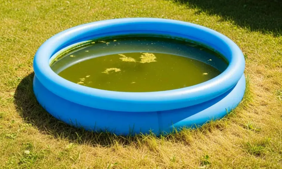 Piscina gonfiabile blu su prato con acqua verde e alghe. È ora di chiedersi ogni quanto cambiare acqua piscina gonfiabile per evitare questo.