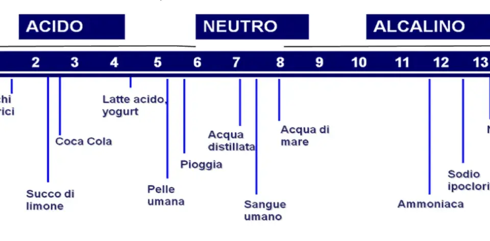 Scala pH: succhi gastrici, Coca Cola, latte acido, limone sono acidi. Acqua distillata e sangue umano sono neutri. Ammoniaca e NaOH sono alcalini.