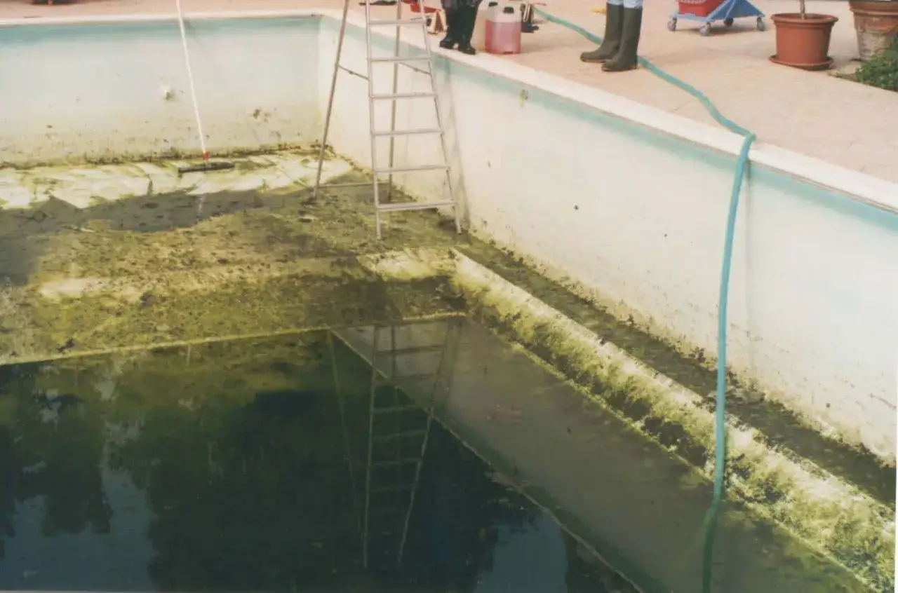 Piscina sporca con alghe e detriti. Si vede una scala e un tubo. Ecco come togliere calcare dalla piscina.