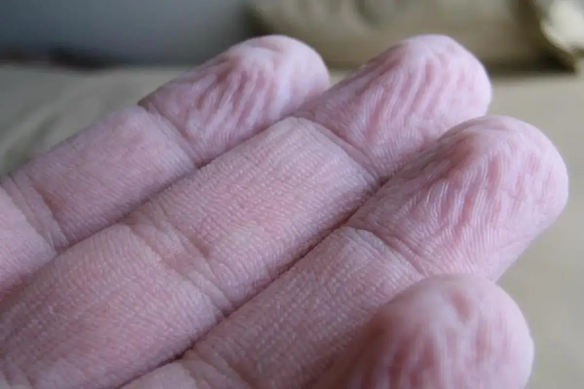 Dita raggrinzite in acqua, un fenomeno che ci fa chiedere perché le mani si raggrinziscono subito in acqua.