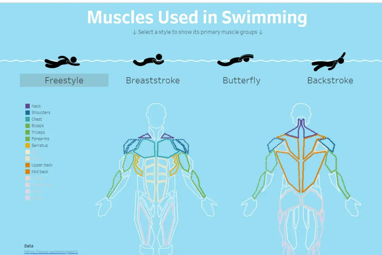 Il nuoto sviluppa la massa muscolare, evidenziando spalle, petto e schiena.