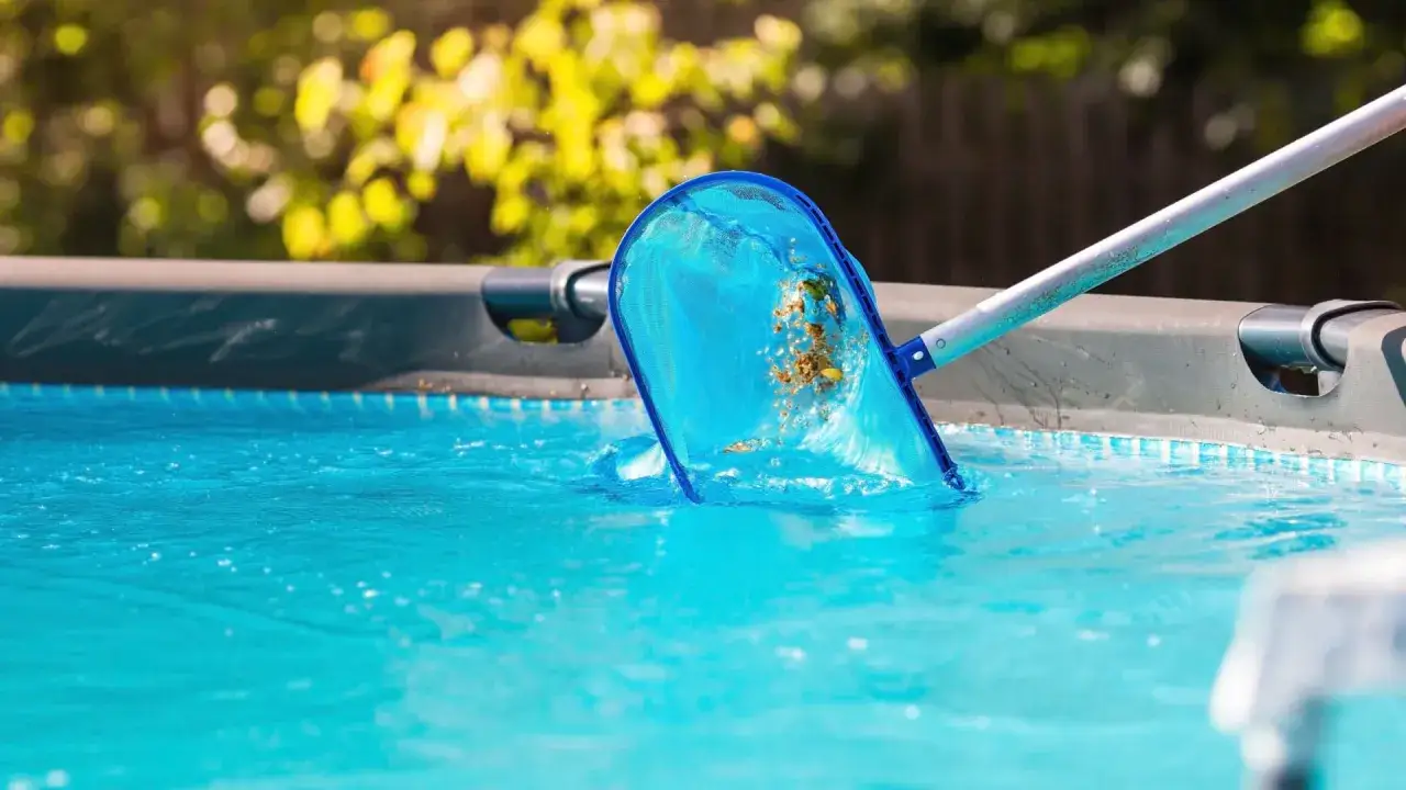 Raccogliere foglie e detriti con un retino &egrave; il primo passo per capire come pulire una piscina molto sporca.