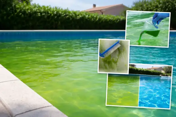 Piscina verde e torbida, con spazzola che pulisce le alghe e prodotto chimico versato. Troppo antialghe in piscina, ma il risultato finale è un'acqua cristallina.